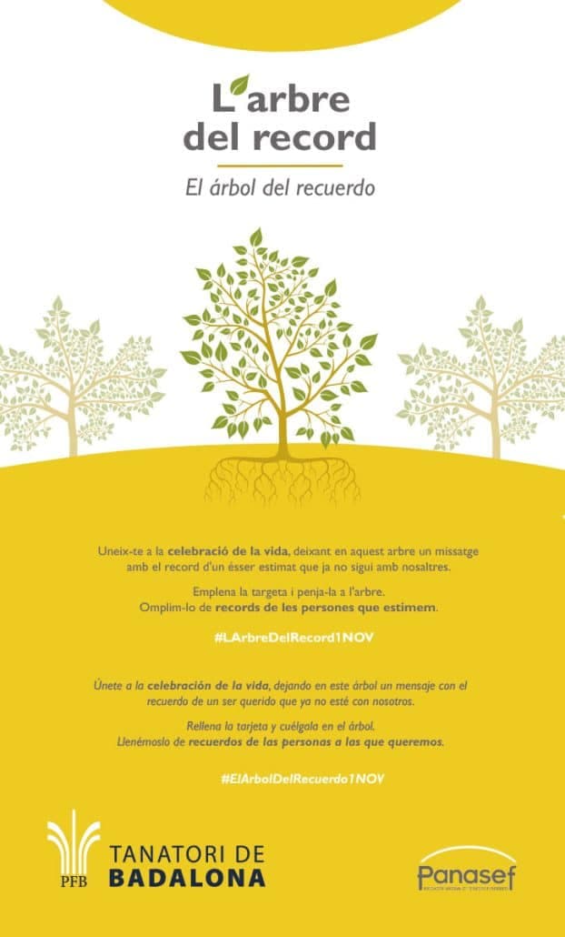 imagen-destacada
